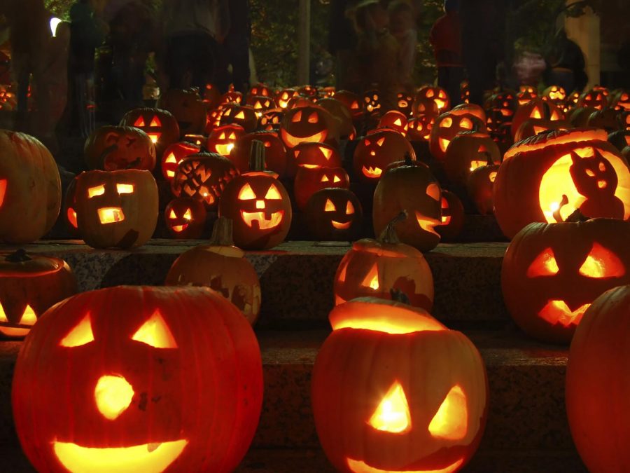 Pumpkins light up the darkness during the night and is considered a Halloween tradition. 