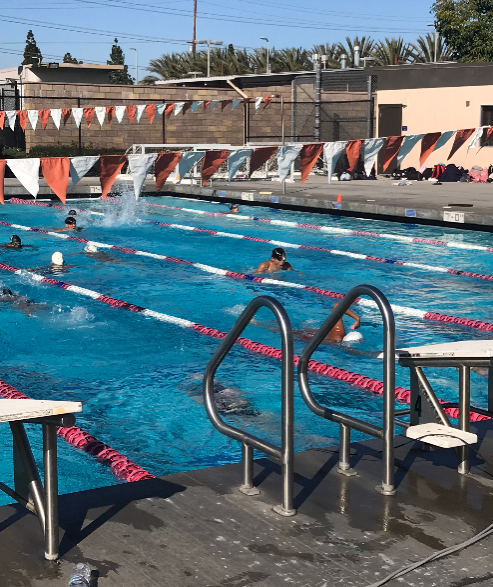 Segerstroms swim team warms up in the water before the meet begins.