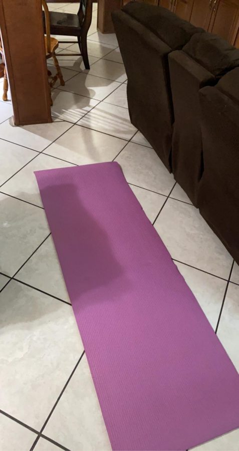Norma Mendoza’s workout set-up at home for her P.E. classes. 
