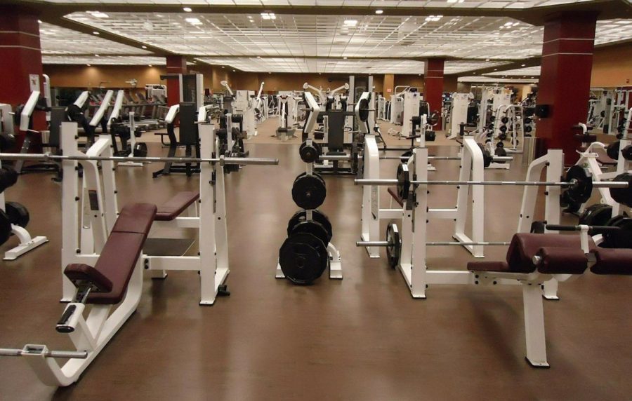 Weight racks are found in most gyms and can be used for upper and lower body workouts. Photo Courtesy: Pixabay