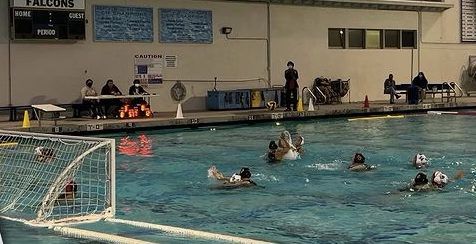 After a lot of hard work, Segerstroms girls water polo team goes to CIF.