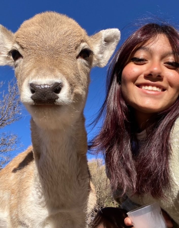 Here is Sophia enjoying time with a friendly deer on her vacation in Arizona.