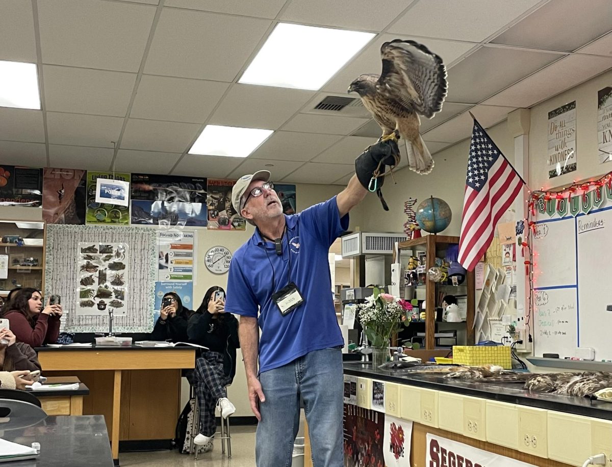 Mr. Ross, an educator from the OC Bird of Prey Center, showcases Dulce, a red-tail hawk, and her beautiful wingspan.