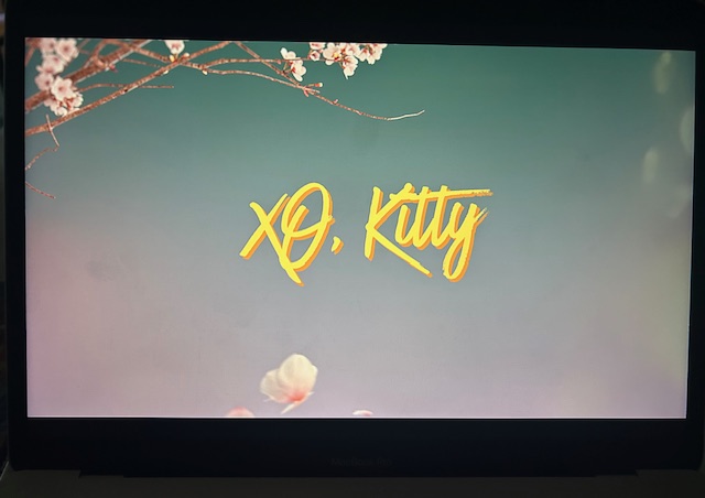 The sequel XO Kitty came back for a highly awaited second season and it has brought new characters and drama for the main character, Kitty. This season has been a success, with it being number 1 on Netflix's Top 10 Shows Today. 