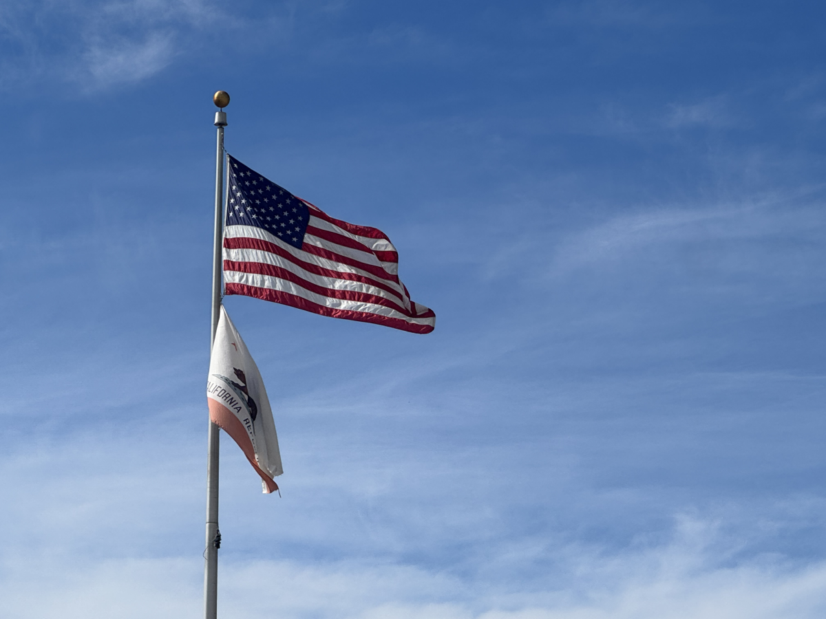 This image depicts the U.S. flag, flown with winter winds. While not all U.S. athletes stand for the actions of America, they still inspire all the citizens of the country.